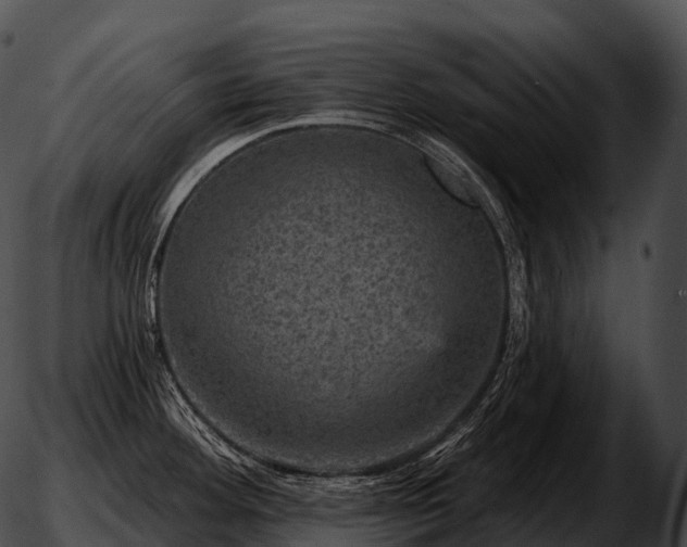 X0000051891292200507020046