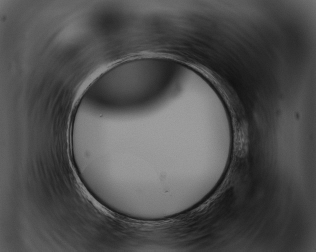 X0000051891294200507020046