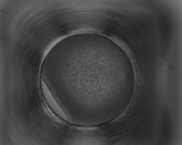 X0000051891296200507020046