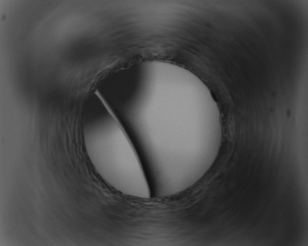 X0000051891297200507020045