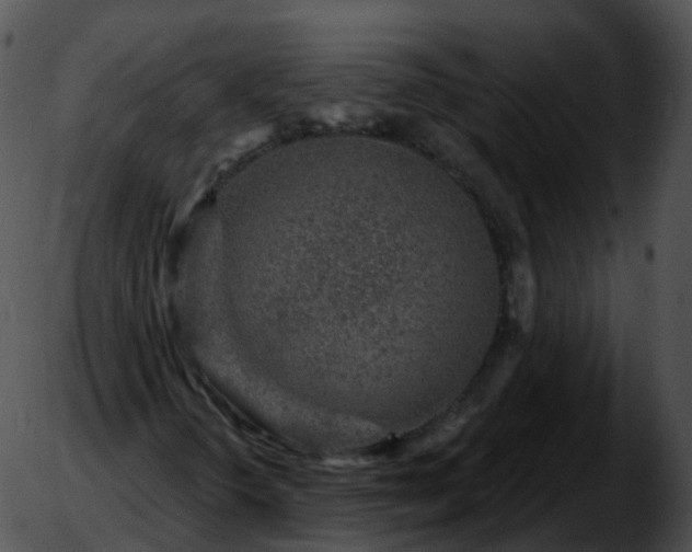 X0000051891298200507020046