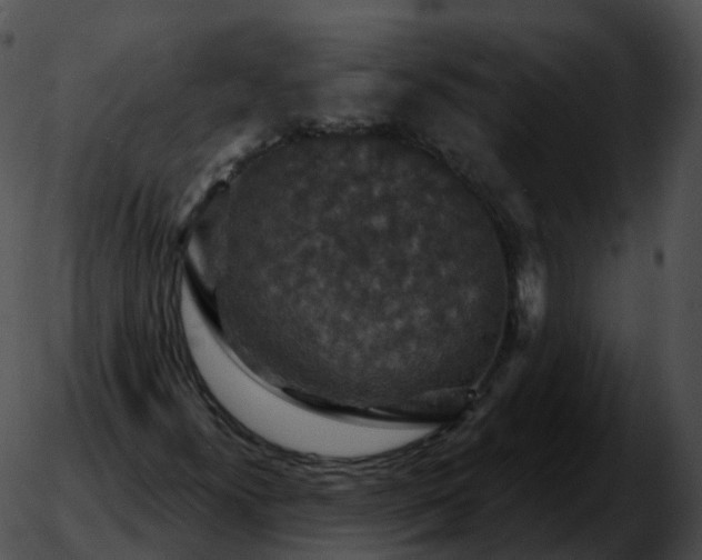 X0000051891300200507020046