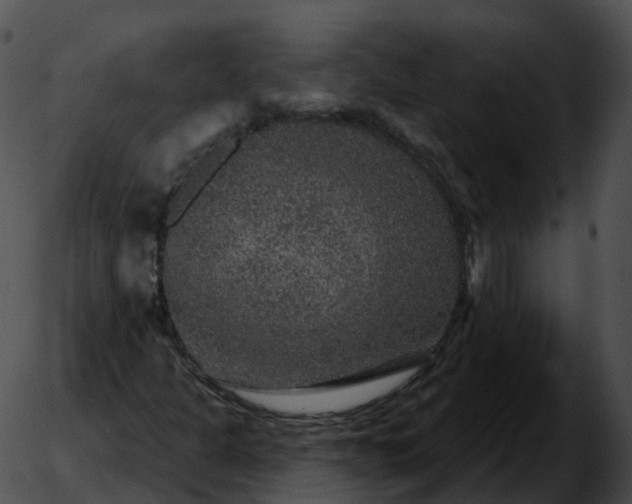 X0000051891301200507020046