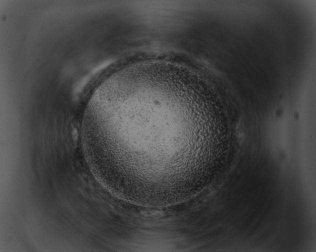 X0000051891302200507020046