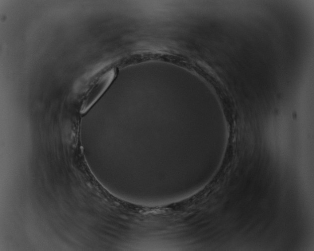 X0000051891303200507020046