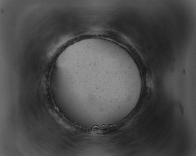 X0000051891304200507020046