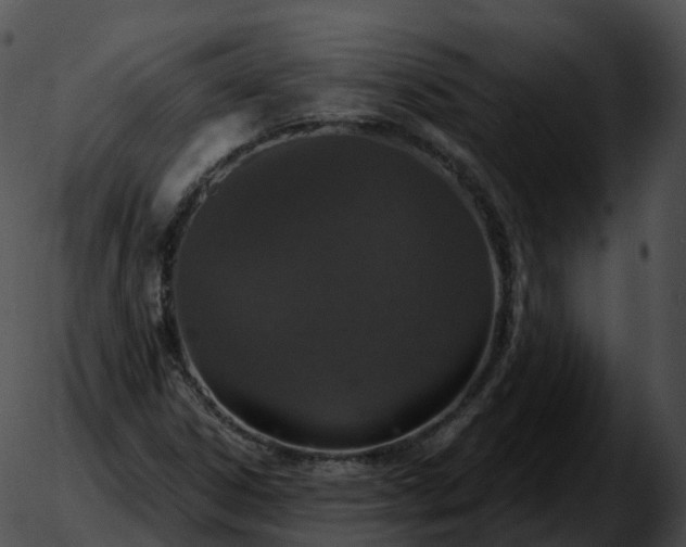 X0000051891306200507020046