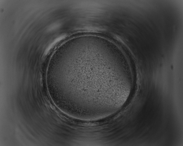 X0000051891307200507020046