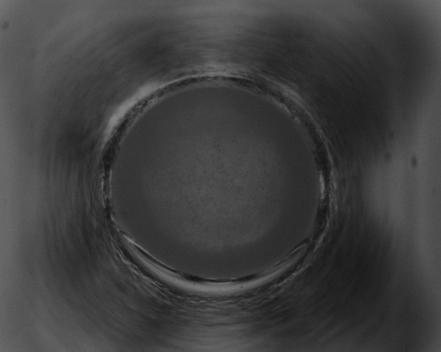 X0000051891310200507020046