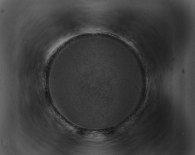 X0000051891311200507020046