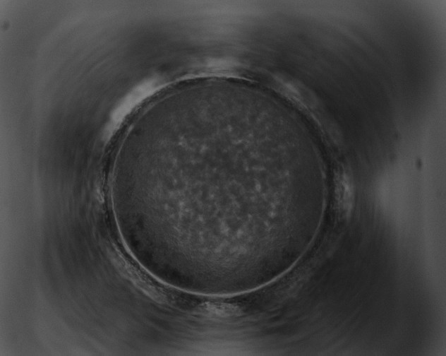 X0000051891312200507020046