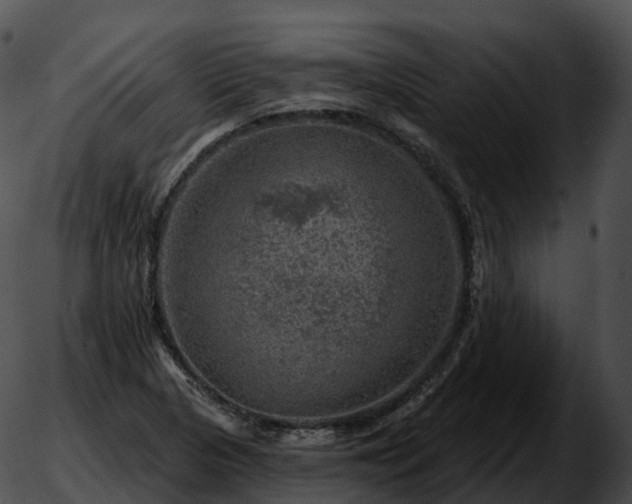 X0000051891313200507020046