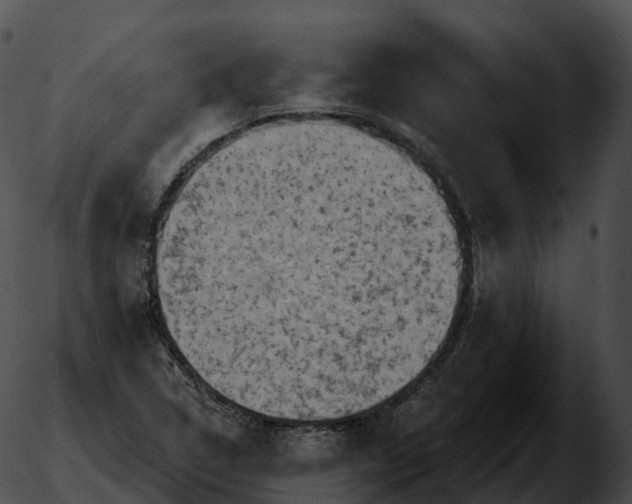 X0000051891314200507020046