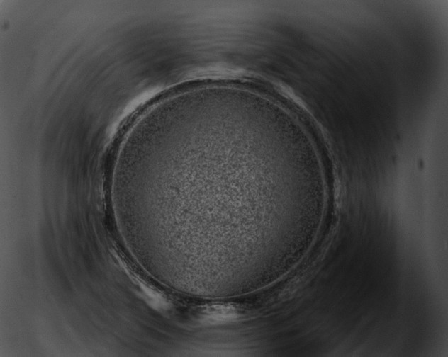 X0000051891315200507020046