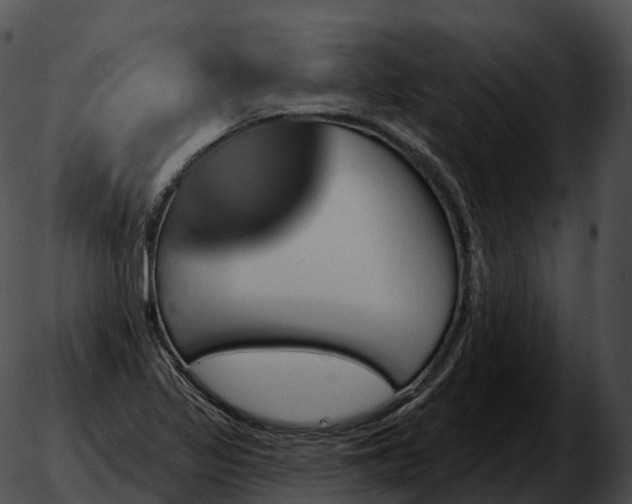 X0000051891317200507020046