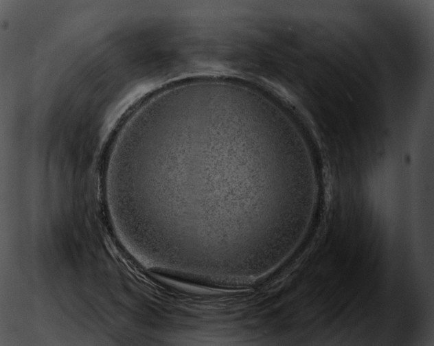 X0000051891318200507020046