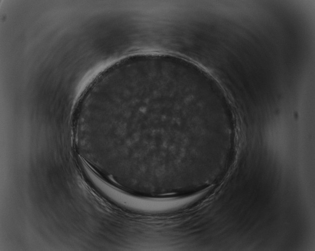 X0000051891319200507020046