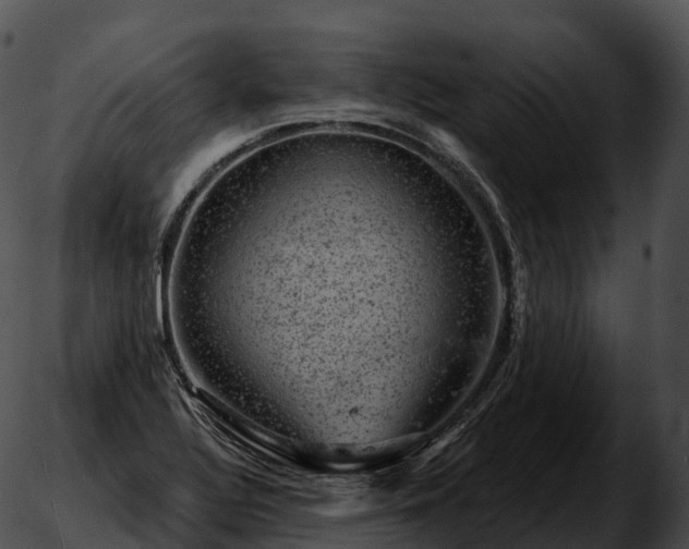 X0000051891320200507020046