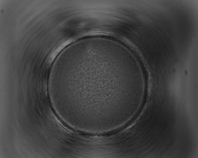 X0000051891321200507020046