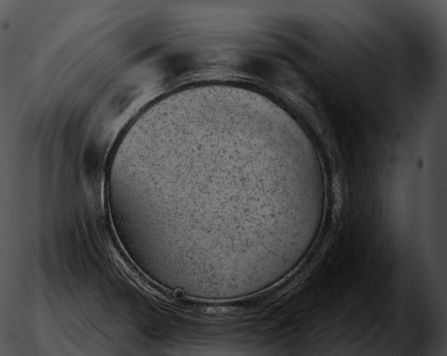 X0000051891322200507020046