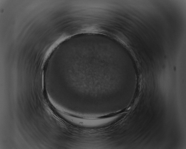 X0000051891323200507020046