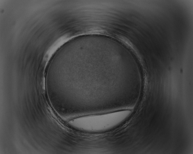 X0000051891324200507020046