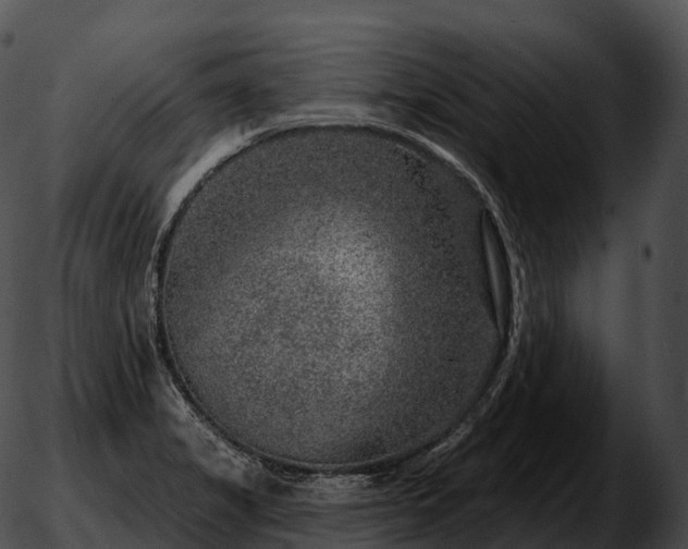 X0000051891325200507020046