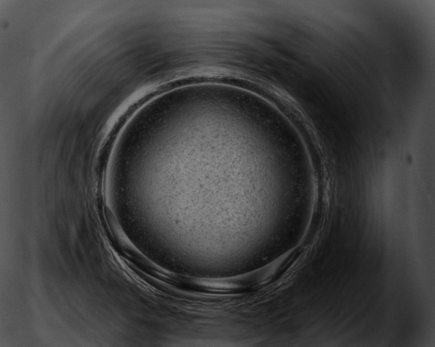 X0000051891326200507020046