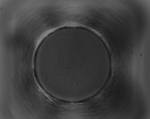 X0000051891327200507020046