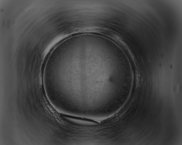 X0000051891328200507020046