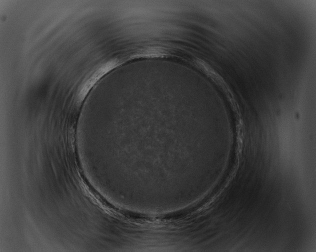 X0000051891329200507020046