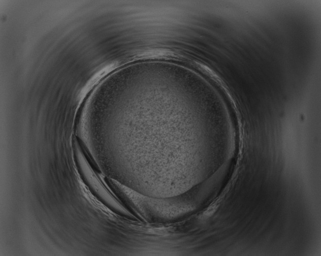 X0000051891330200507020046