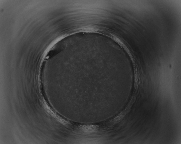 X0000051891331200507020046