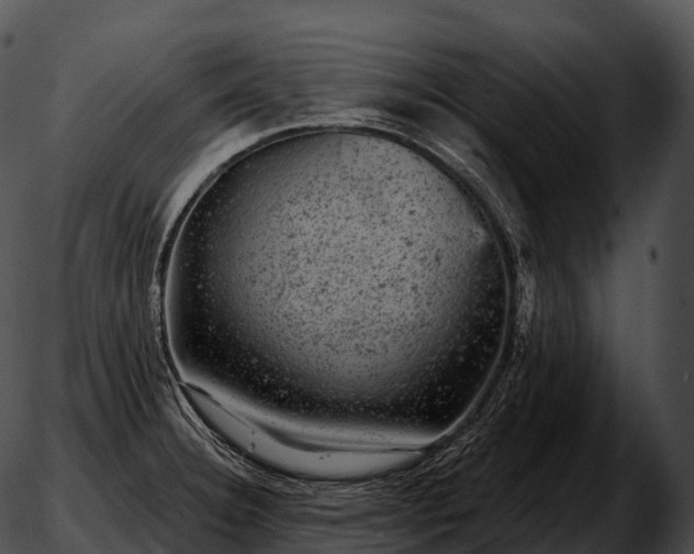 X0000051891332200507020046