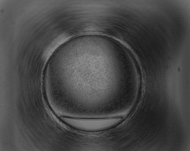 X0000051891333200507020046