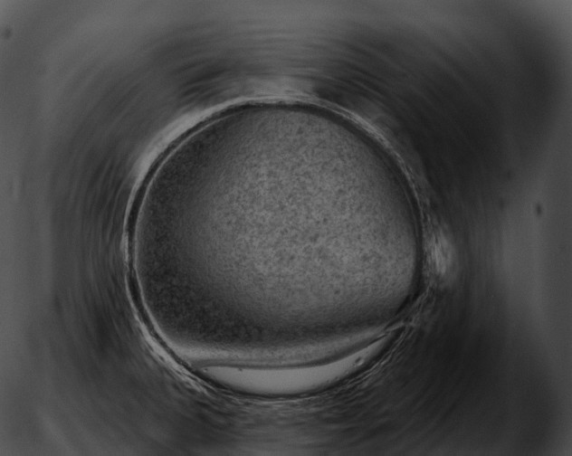 X0000051891335200507020046