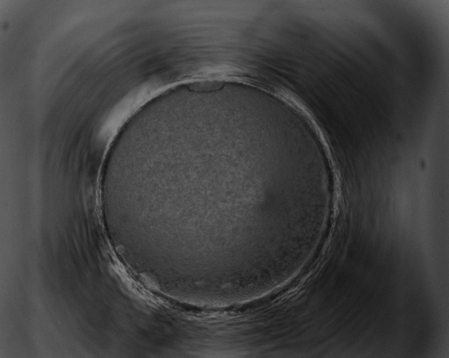 X0000051891336200507020046