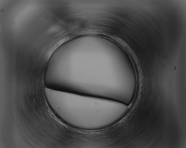 X0000051891337200507020046