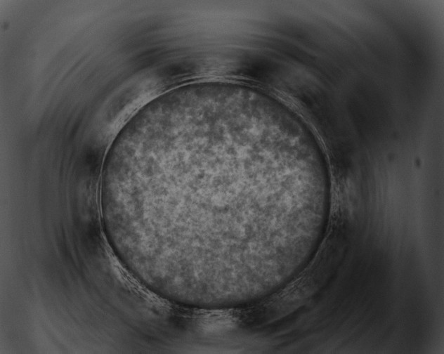 X0000051891338200507020046