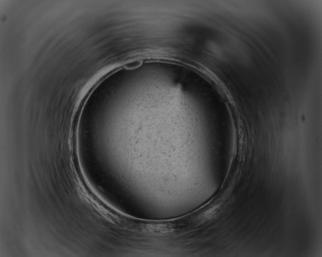 X0000051891339200507020046