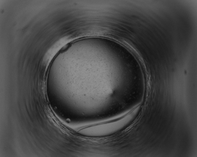 X0000051891340200507020046