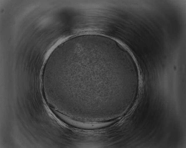 X0000051891341200507020046