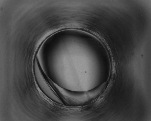 X0000051891342200507020046