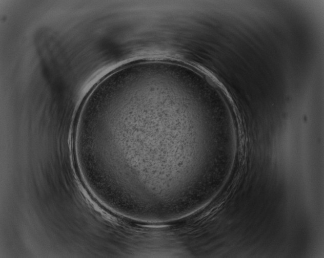 X0000051891343200507020046