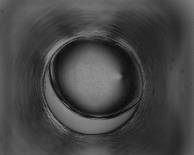 X0000051891344200507020046