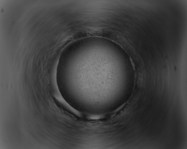 X0000051891345200507020045