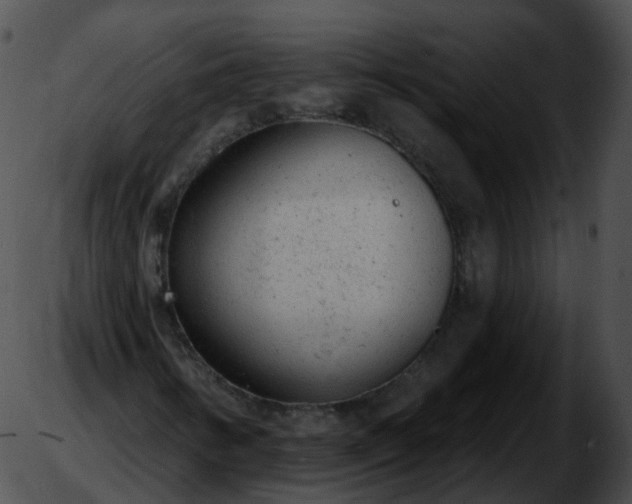 X0000051891346200507020045