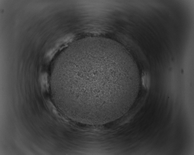 X0000051891347200507020045