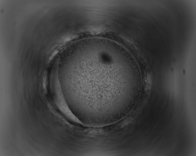 X0000051891349200507020045