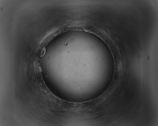 X0000051891350200507020045